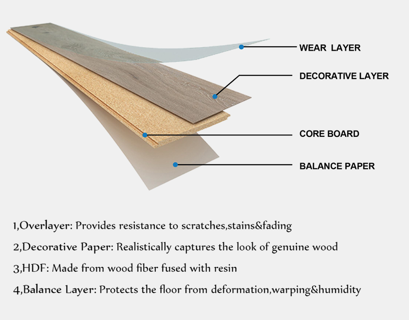 Layered construction of engineered laminate flooring